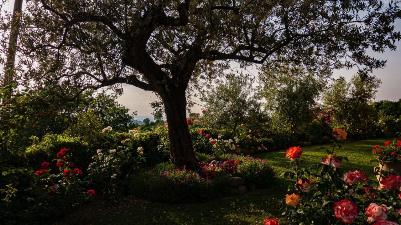 Il Casale Di Fiore Cannara Ngoại thất bức ảnh