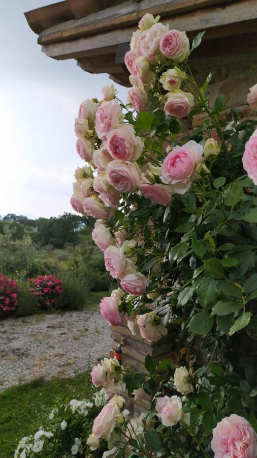 Il Casale Di Fiore Cannara Ngoại thất bức ảnh