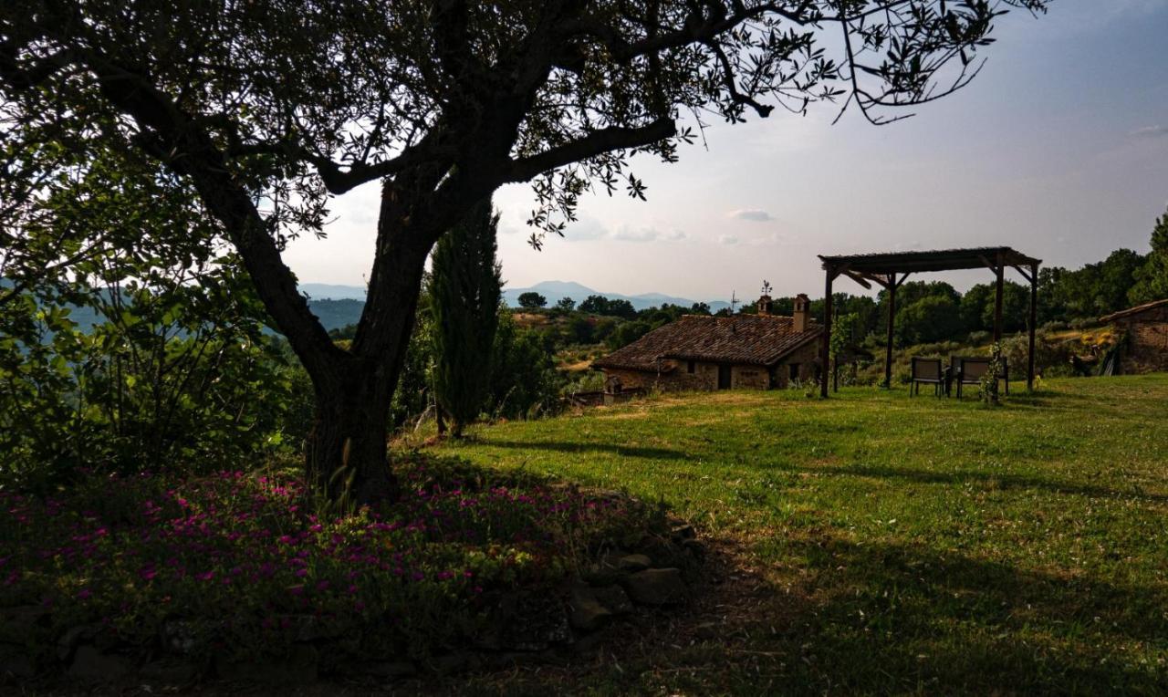 Il Casale Di Fiore Cannara Ngoại thất bức ảnh